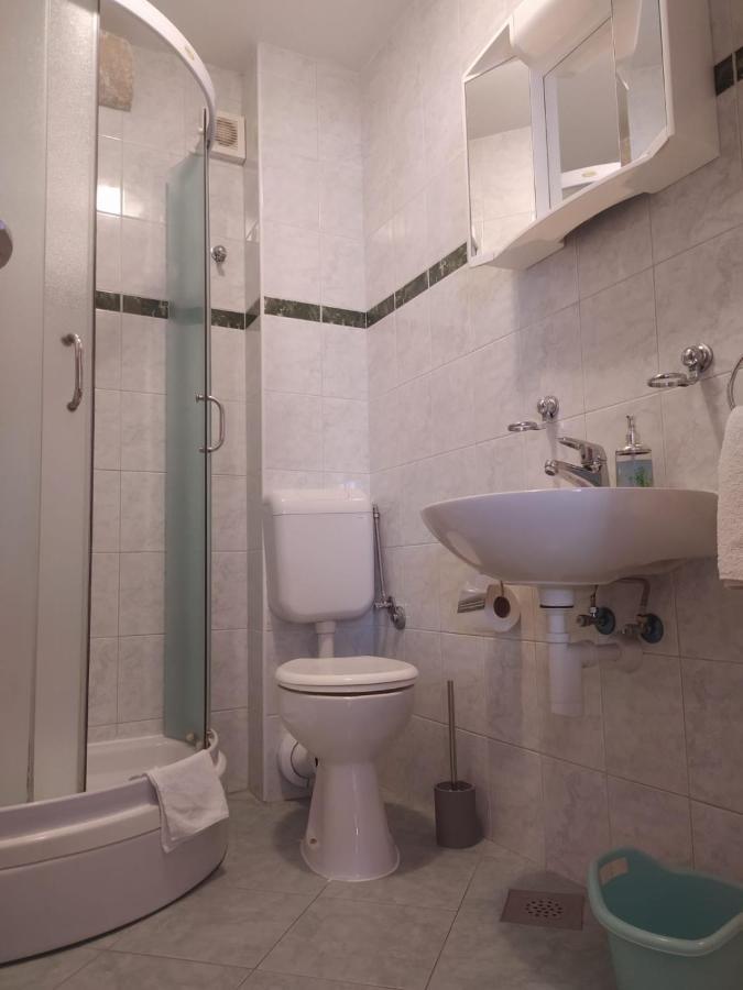 Apartment Room Parcina